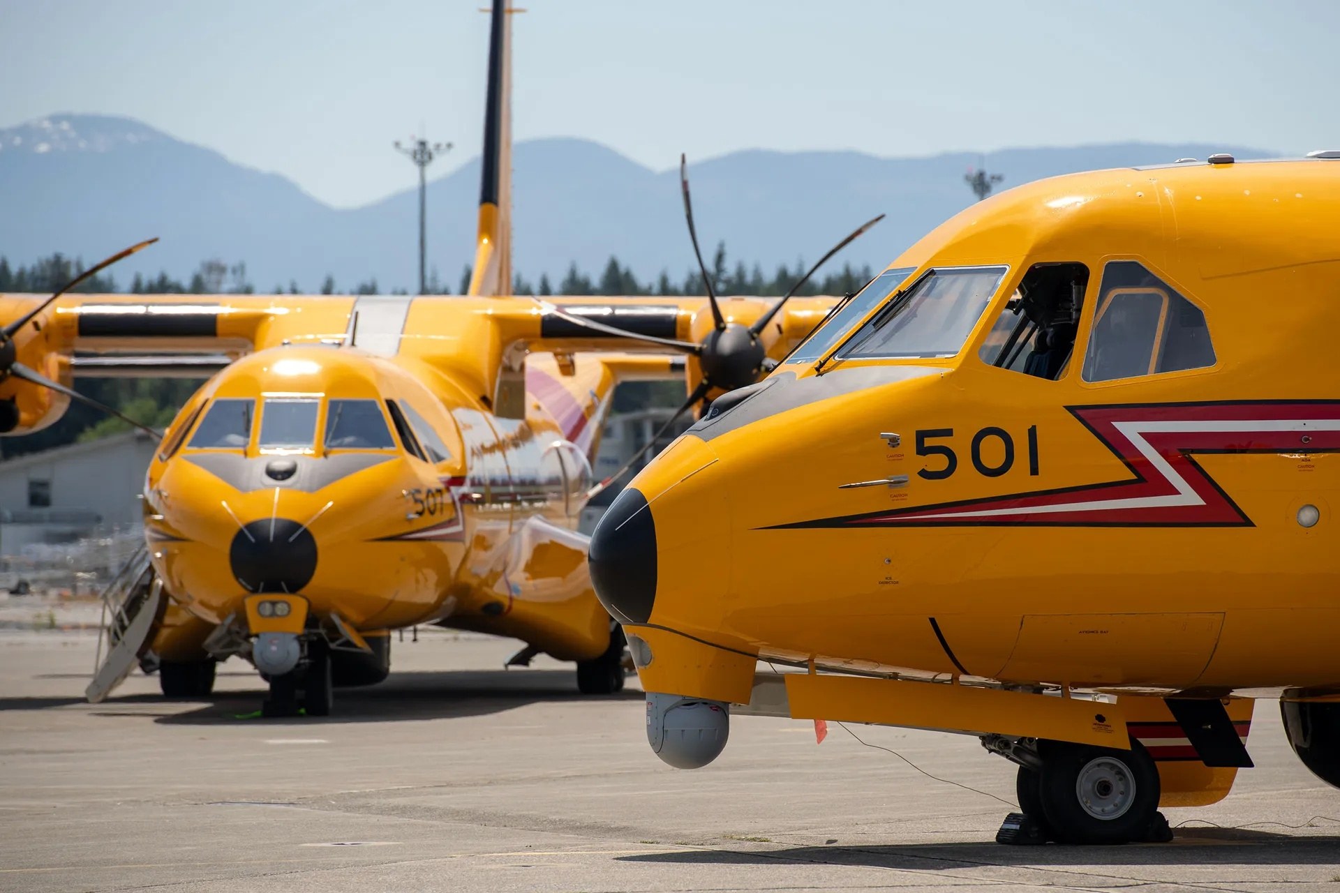 Two yellow CC-295W Kingfisher aircraft on a ramp, with aircraft 501 in the foreground.