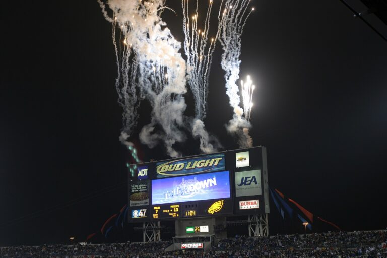 Alltel Stadium image 2