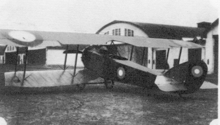 Anatra D aircraft image 5