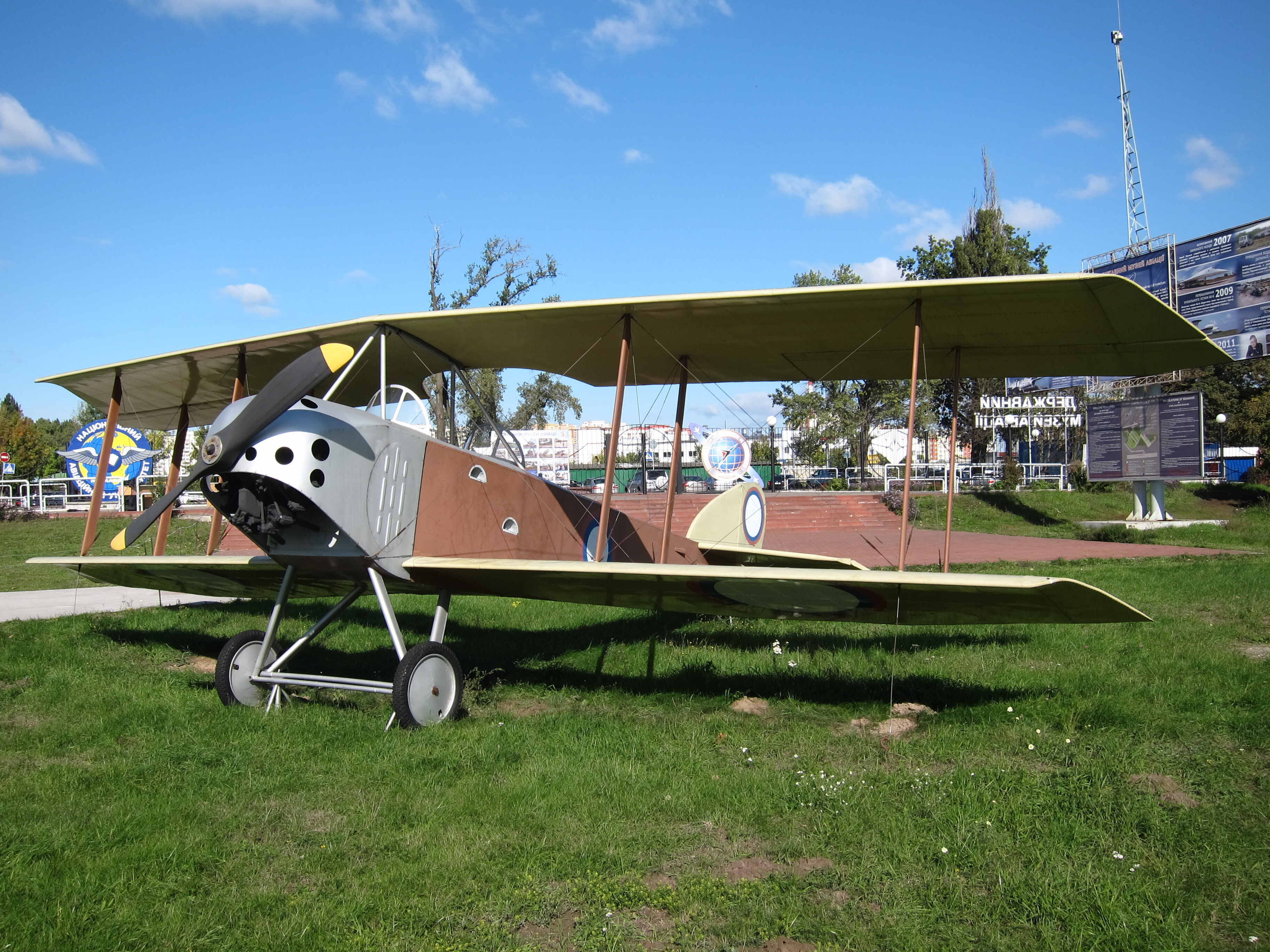 Anatra D aircraft image 6