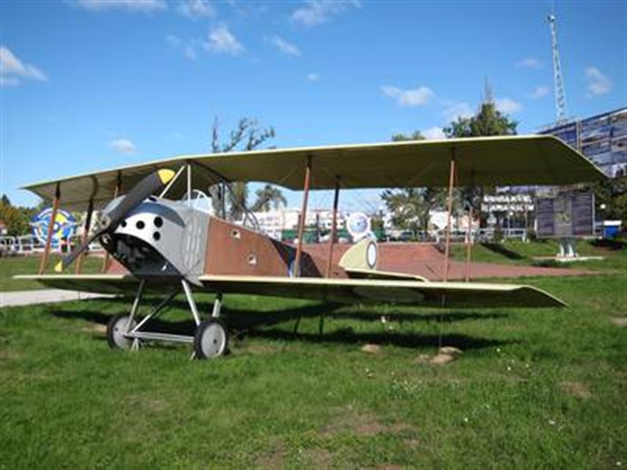 Anatra DS aircraft image 4
