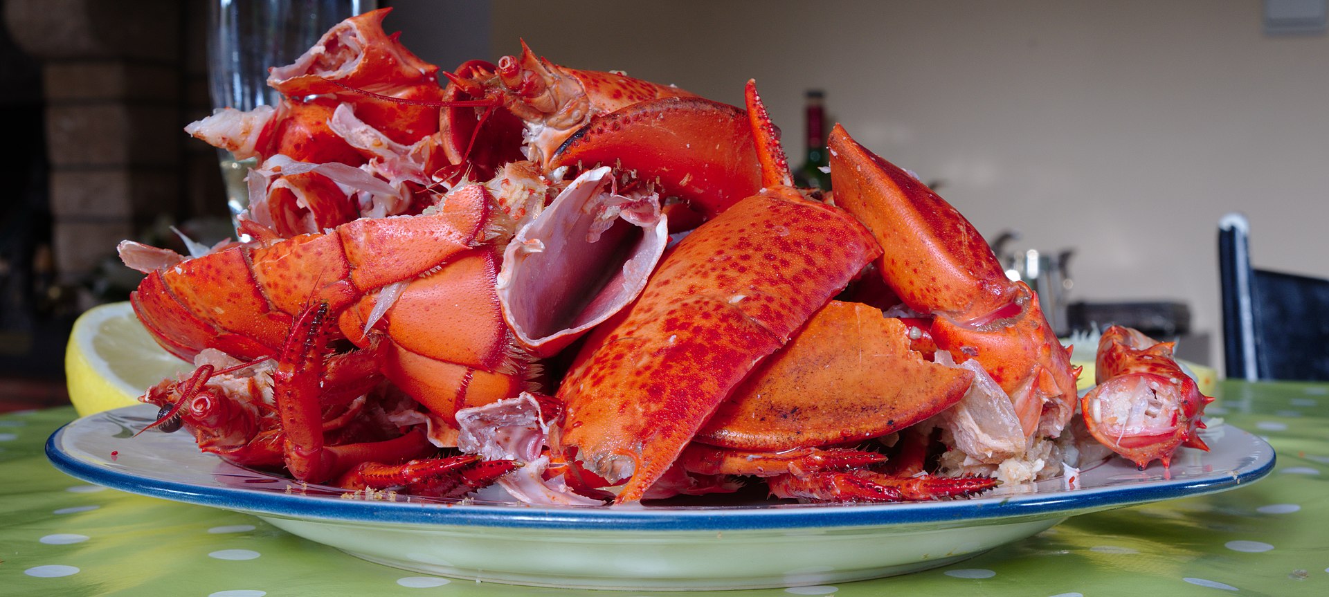 American lobster