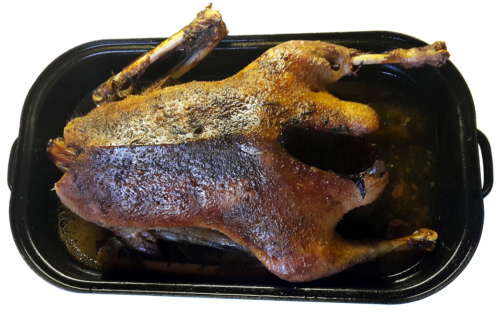 Anseriformes