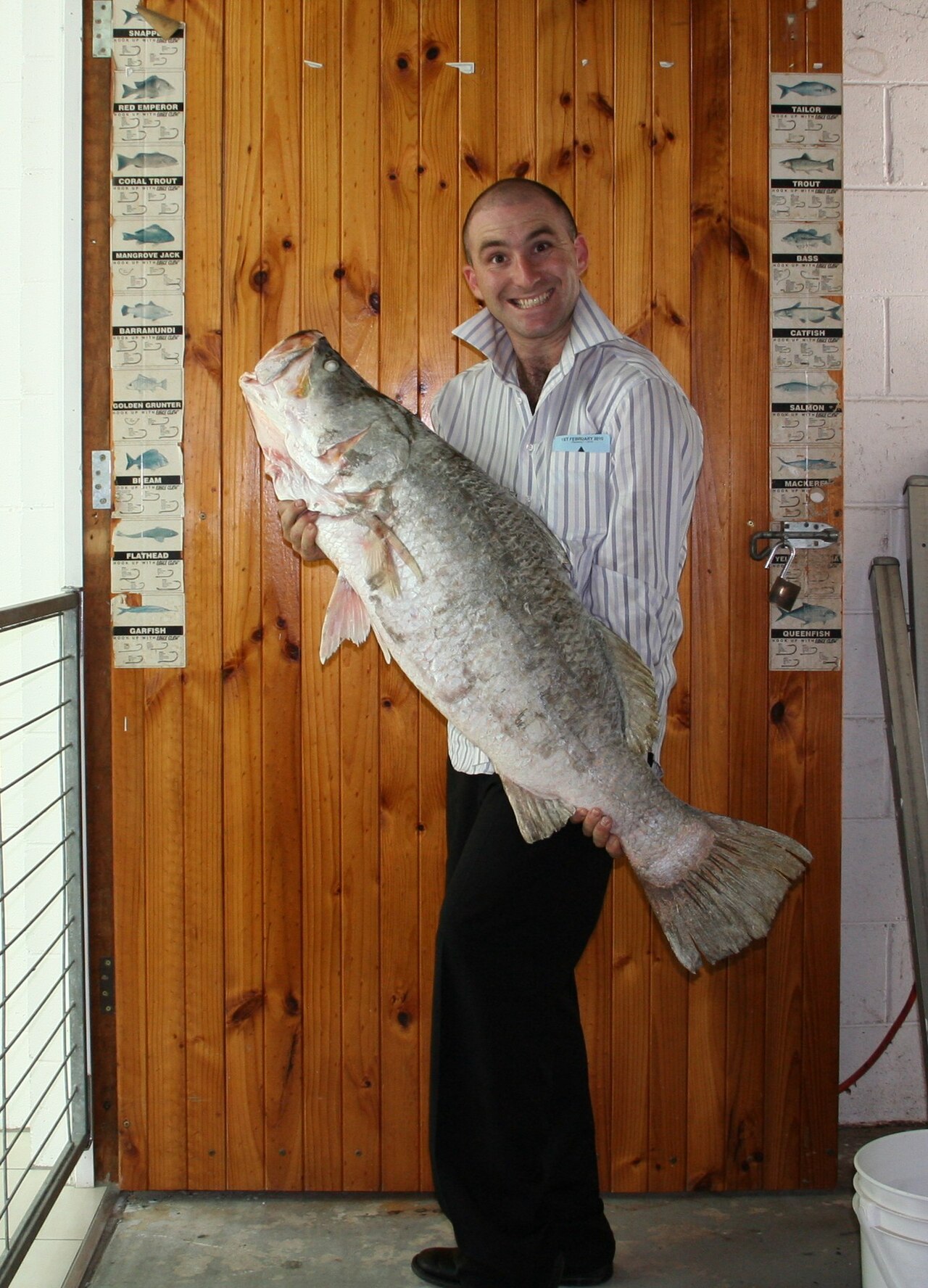Barramundi
