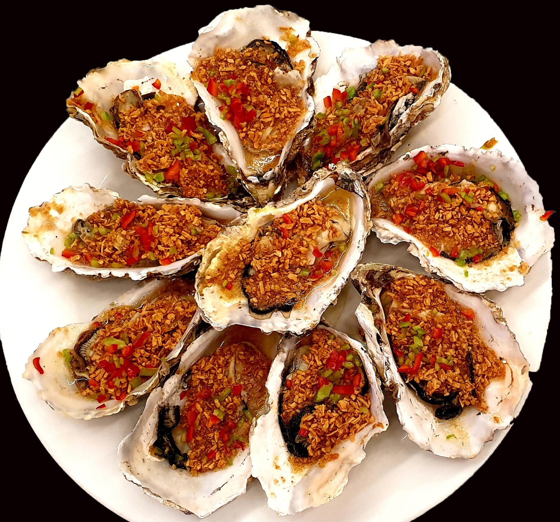 Bivalves