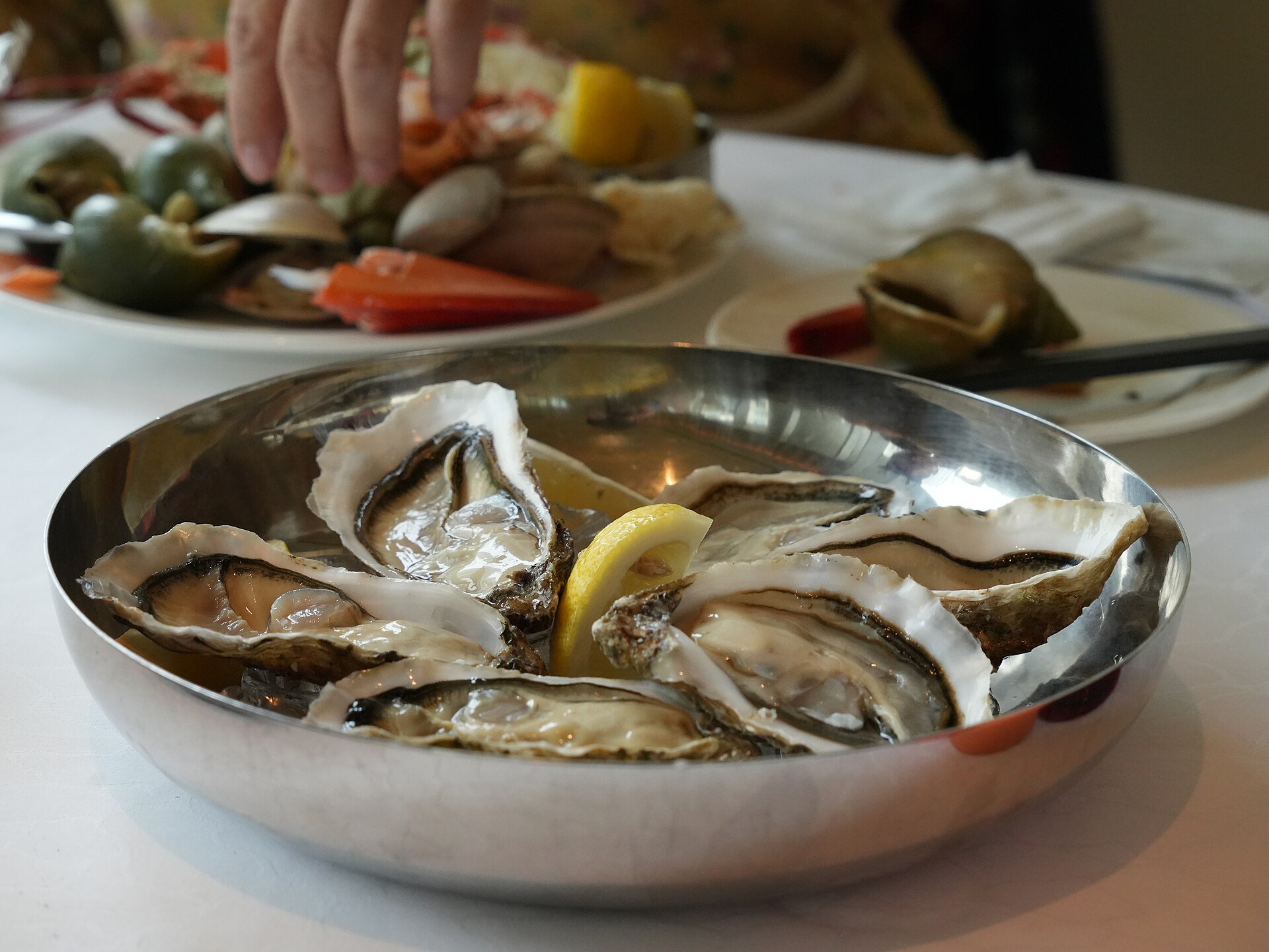 Bivalves