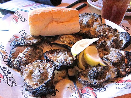 Bivalves