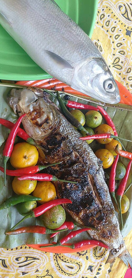 Brackish-Water Finfish