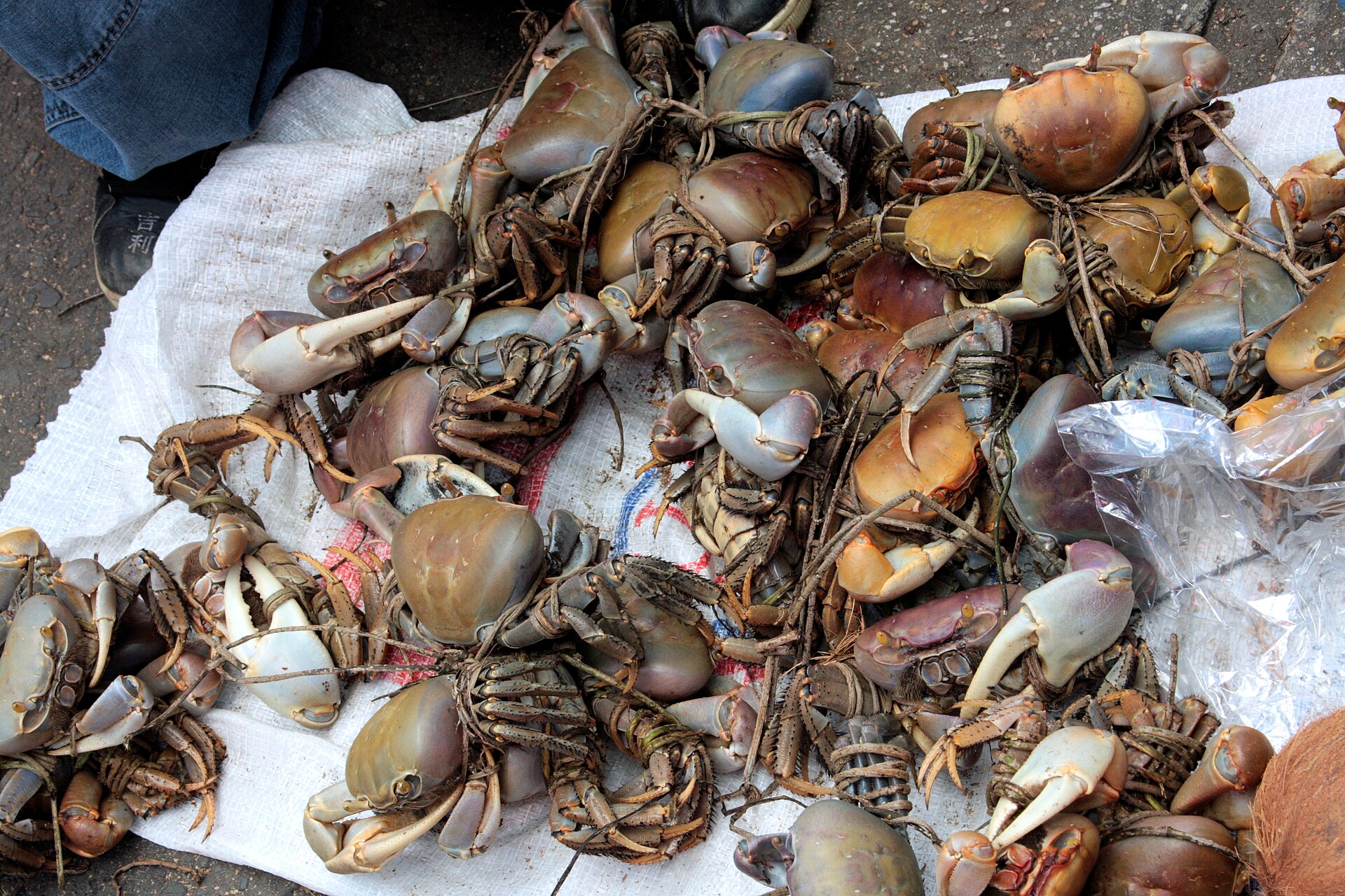 Crustaceans