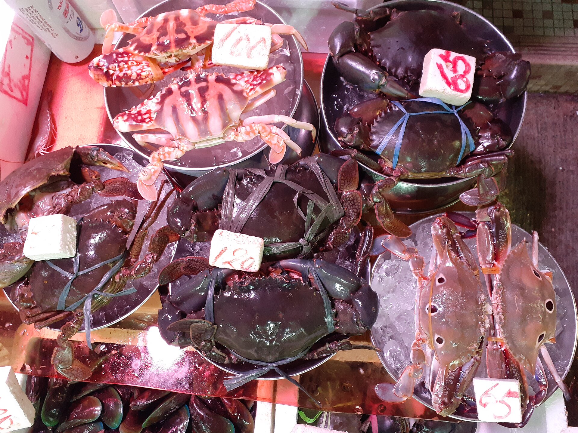 Crustaceans
