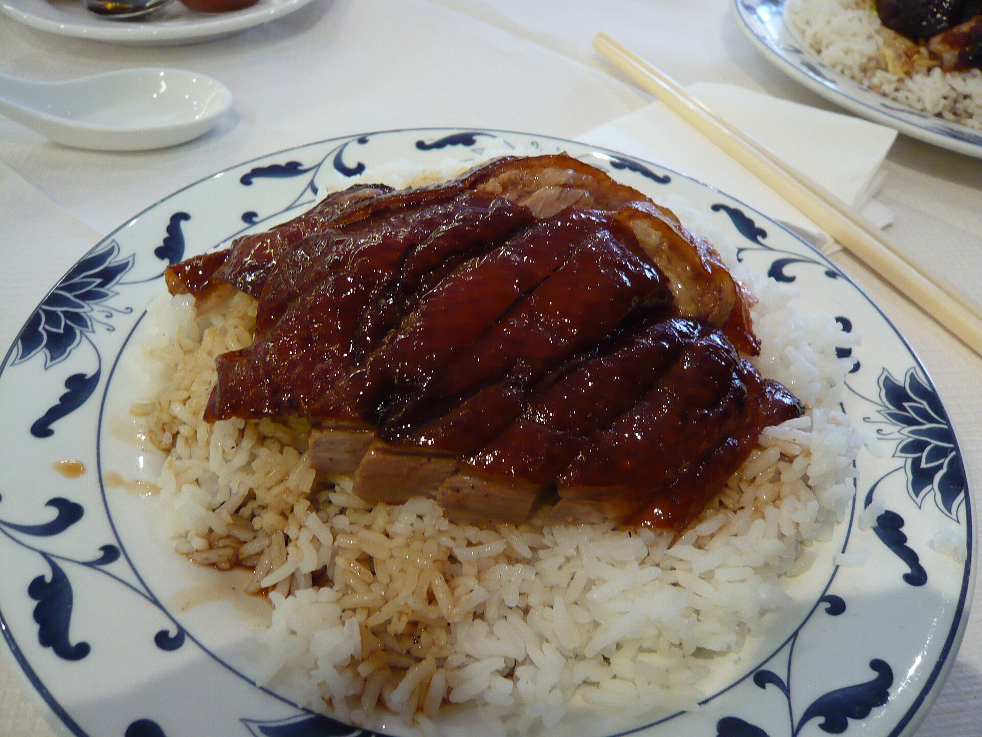 Domestic duck