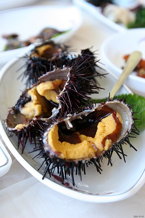 Echinoderms