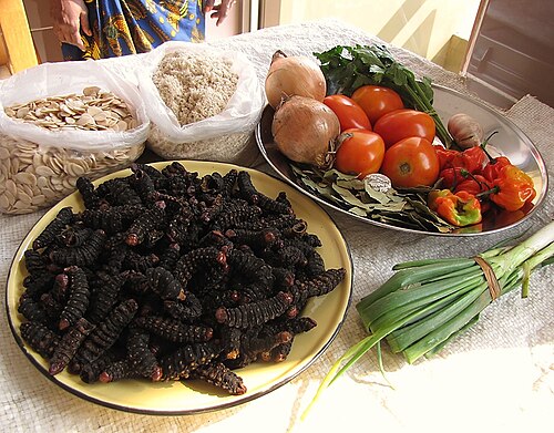 Edible caterpillars