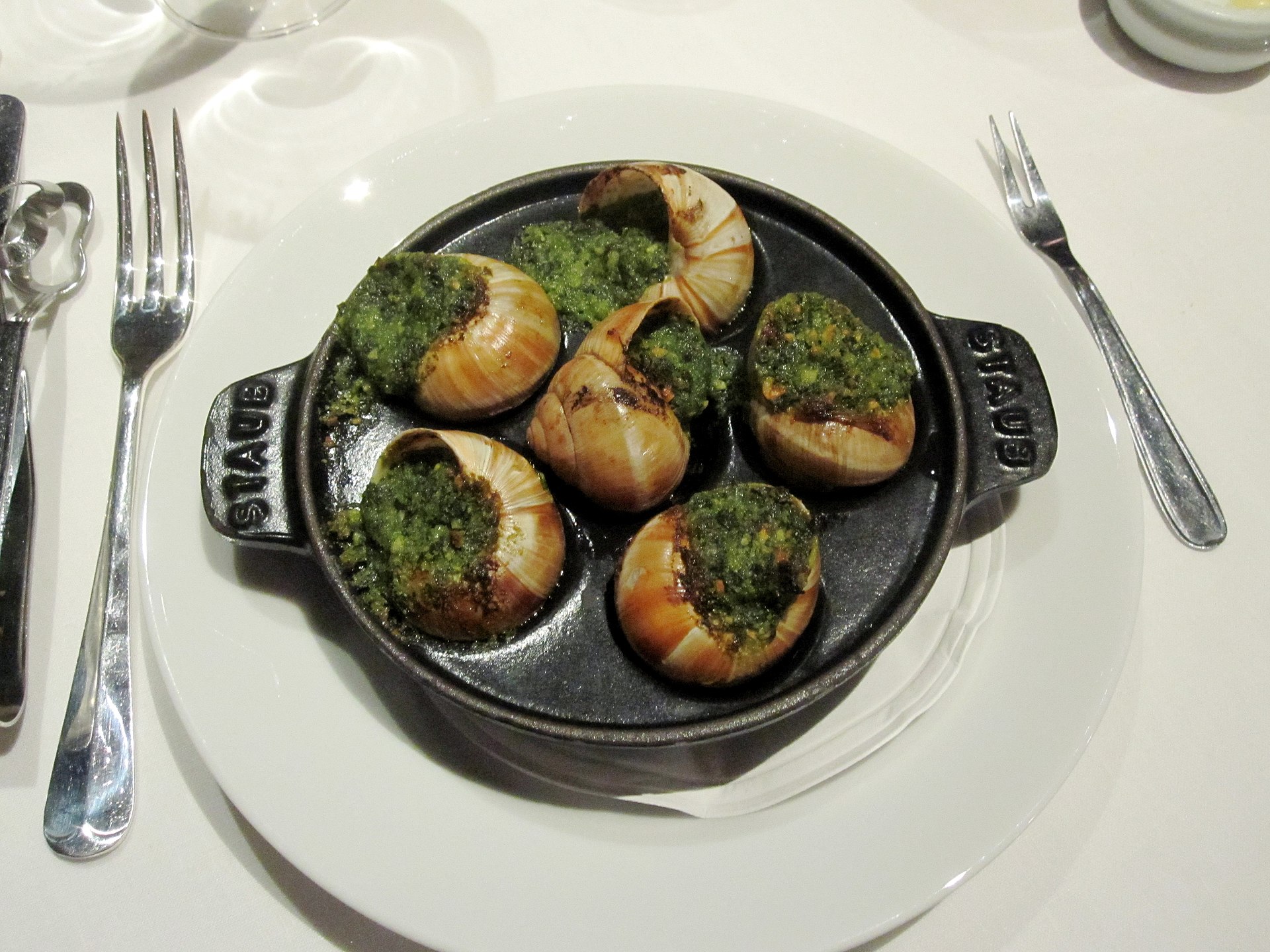 Gastropods