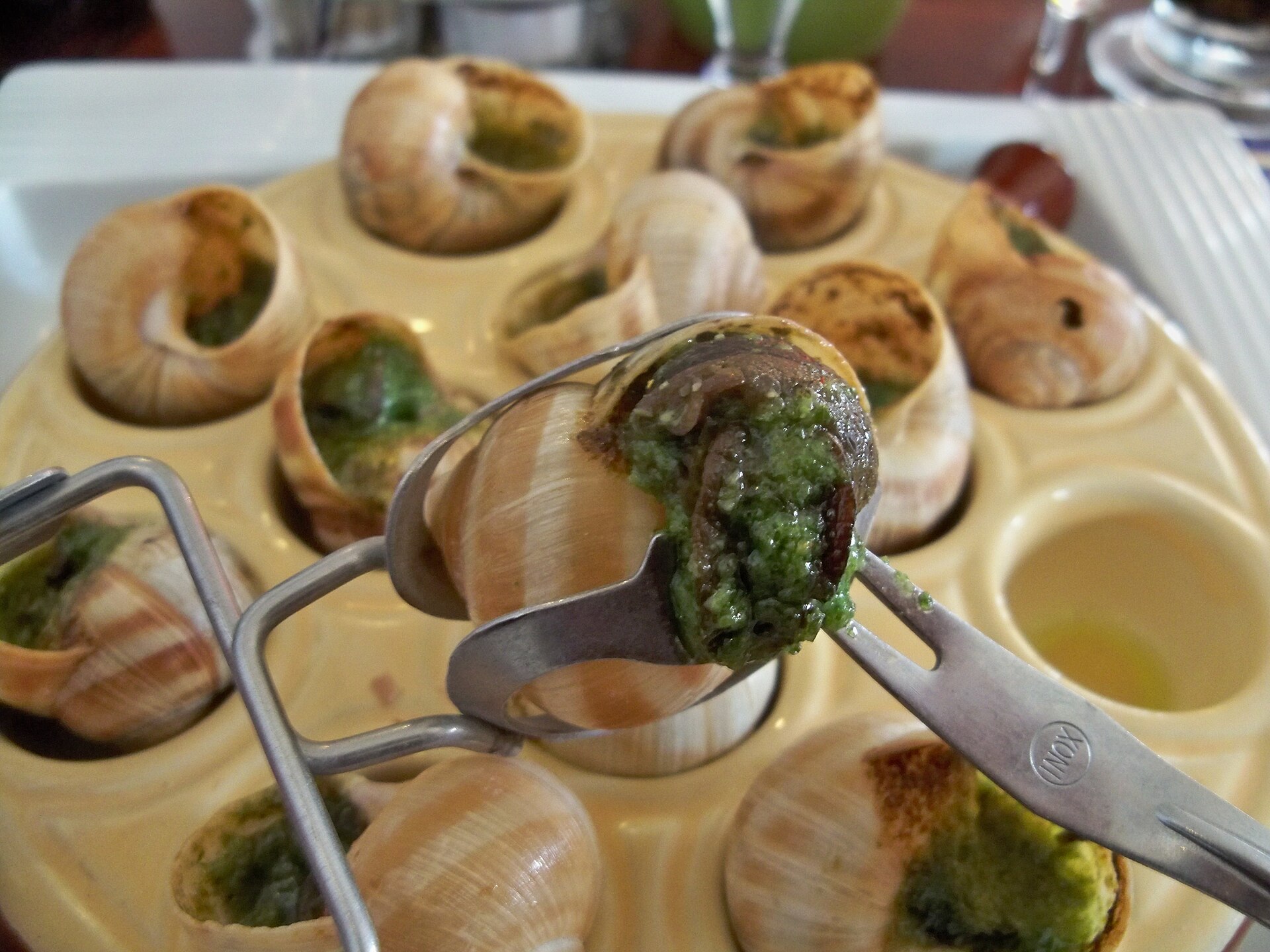 Gastropods