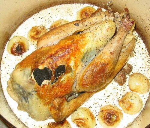 Guinea fowl