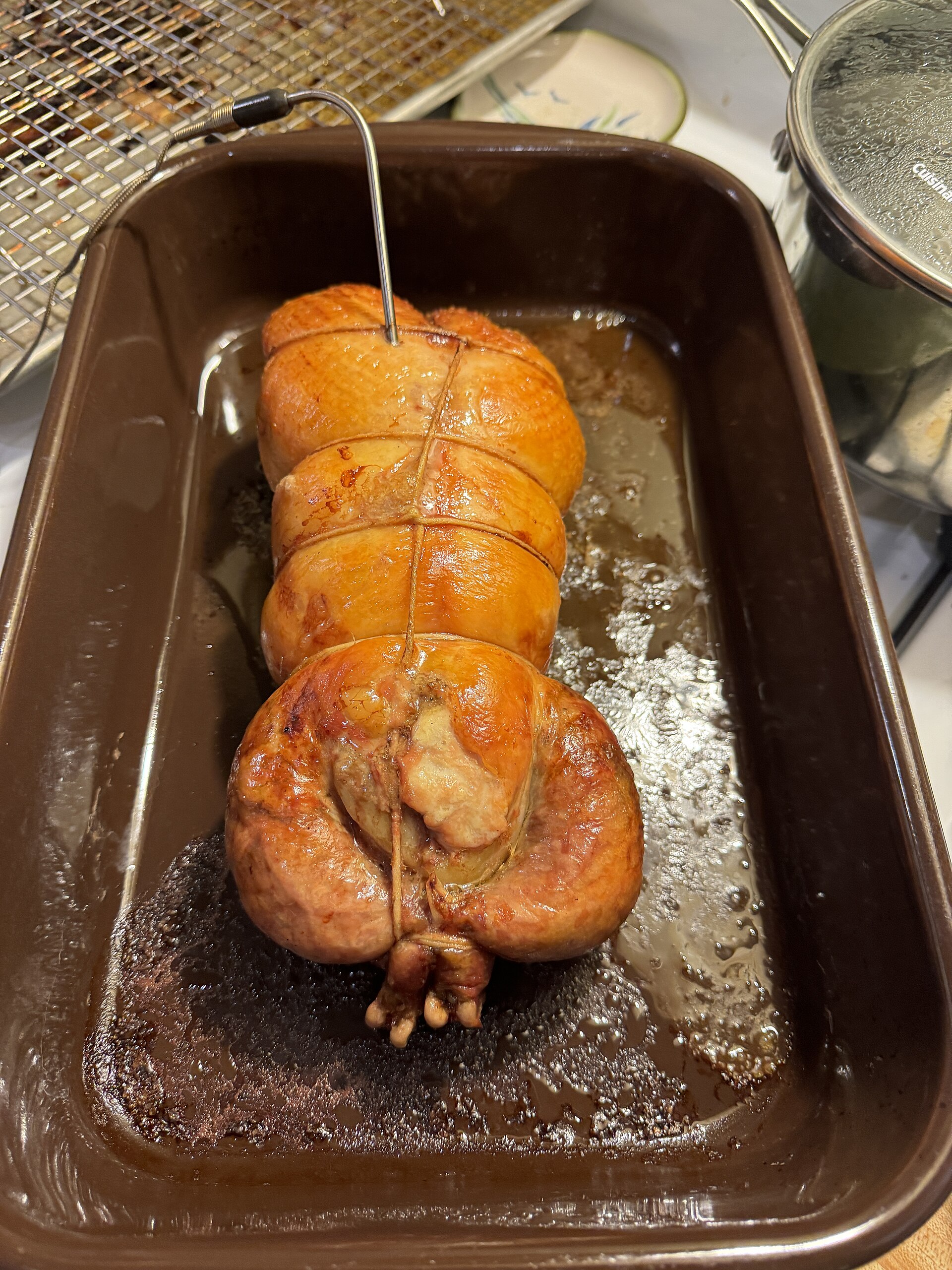 Guinea fowl
