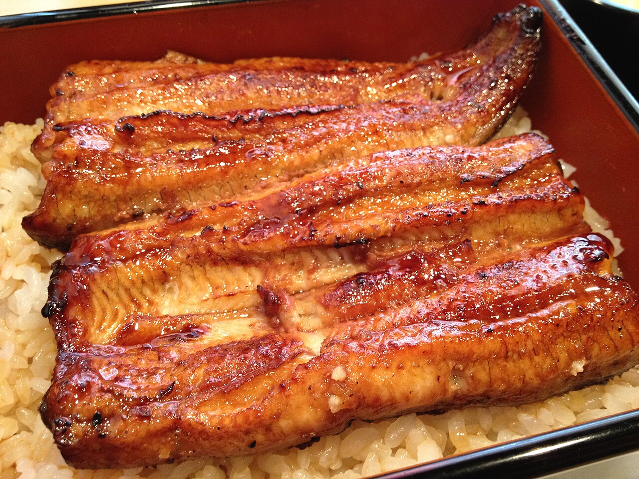 Japanese eel