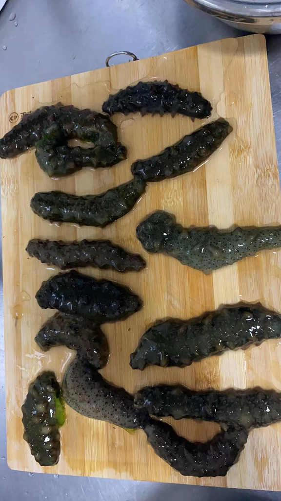 Japanese sea cucumber
