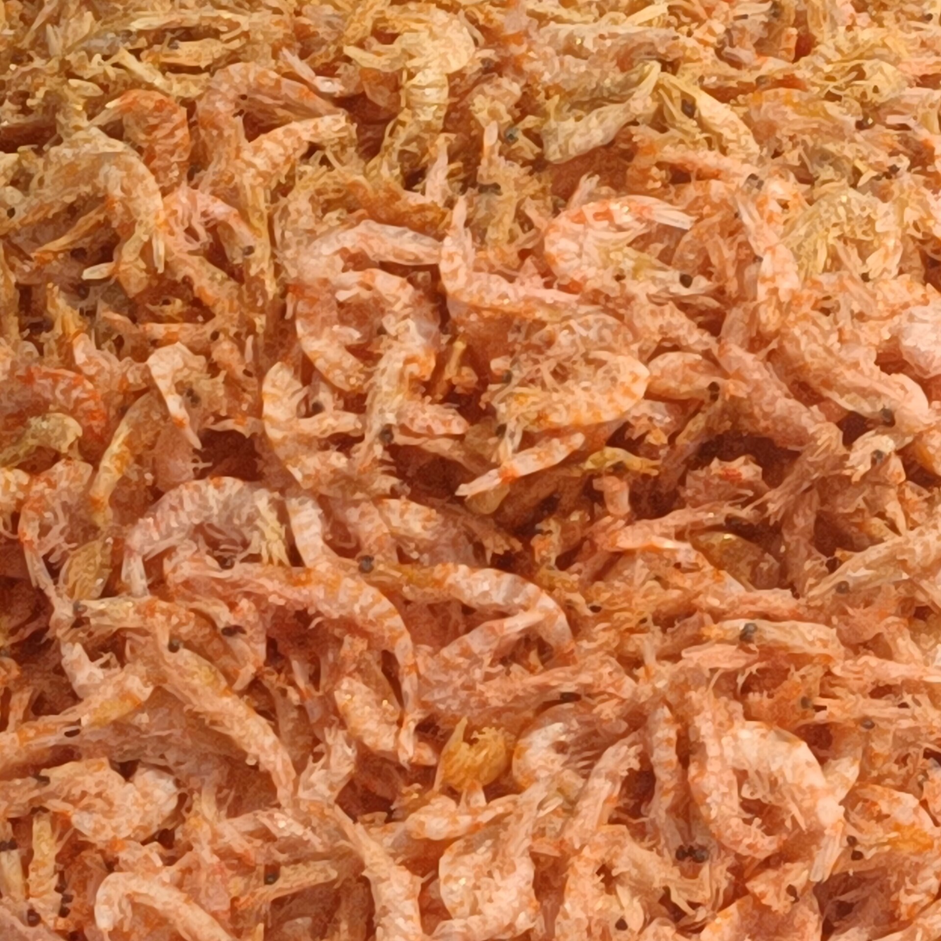 Krill and Small Crustaceans