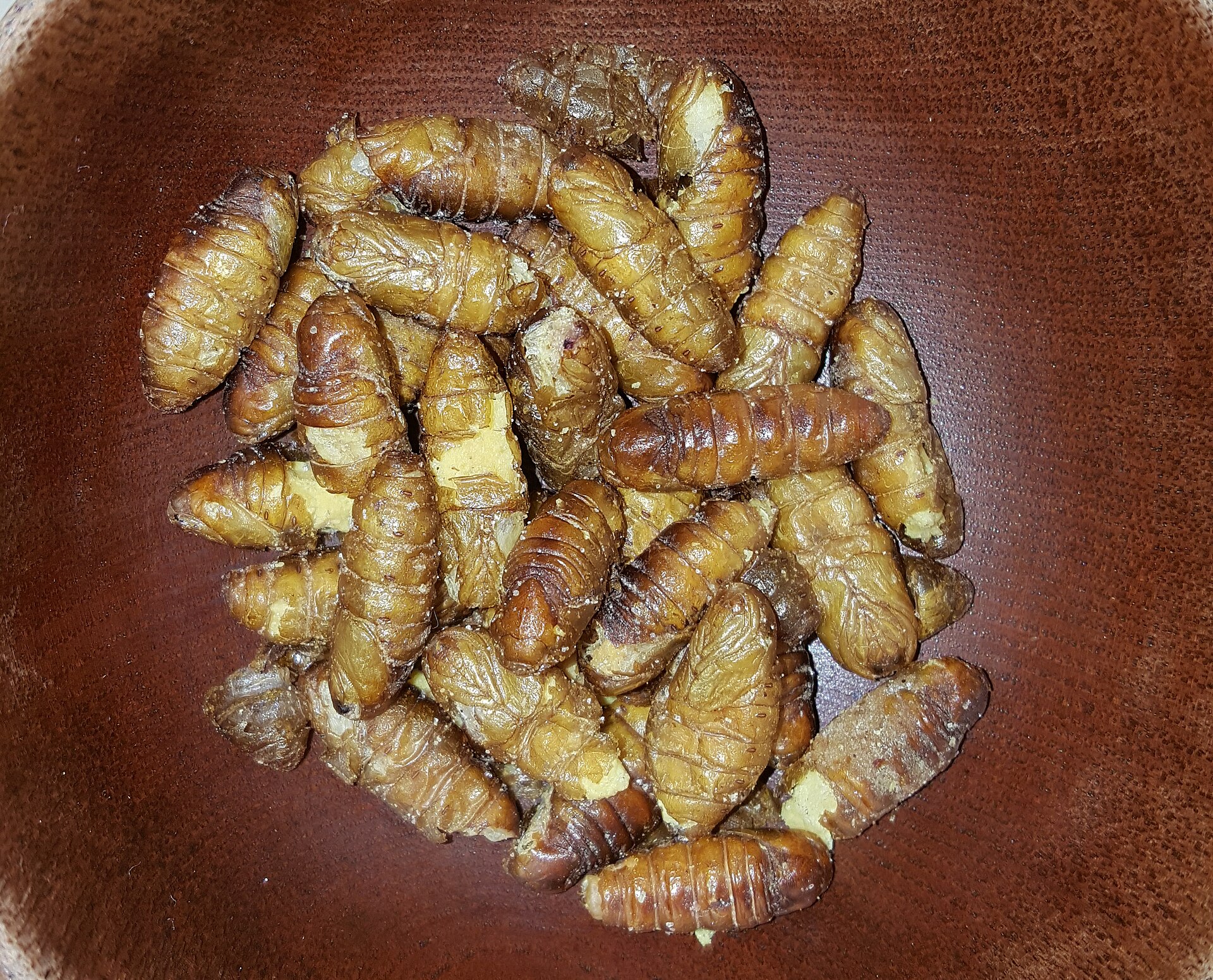 Lepidopterans