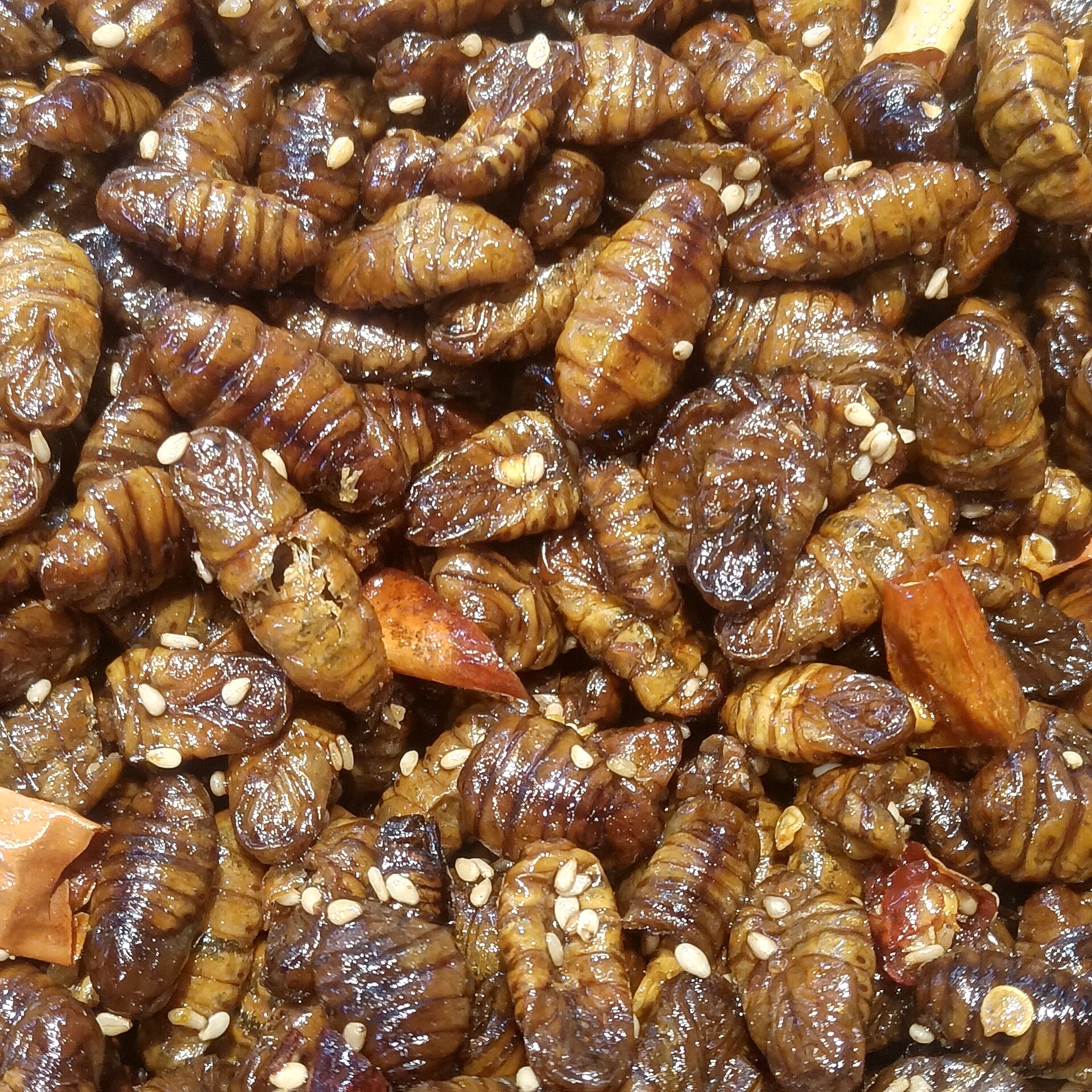 Lepidopterans