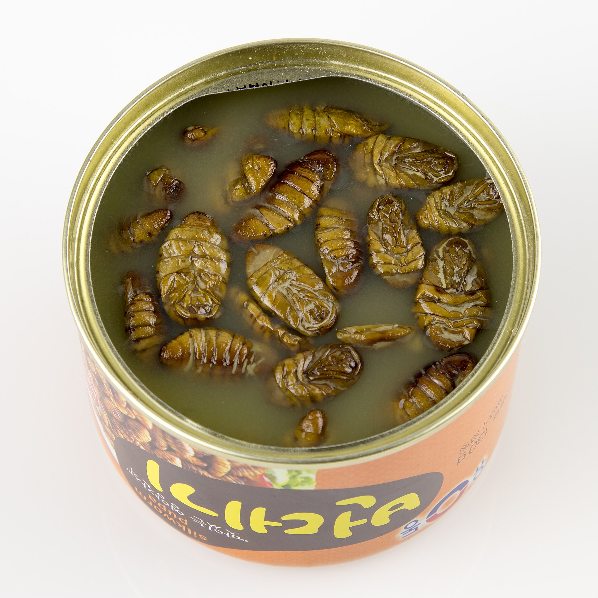 Lepidopterans