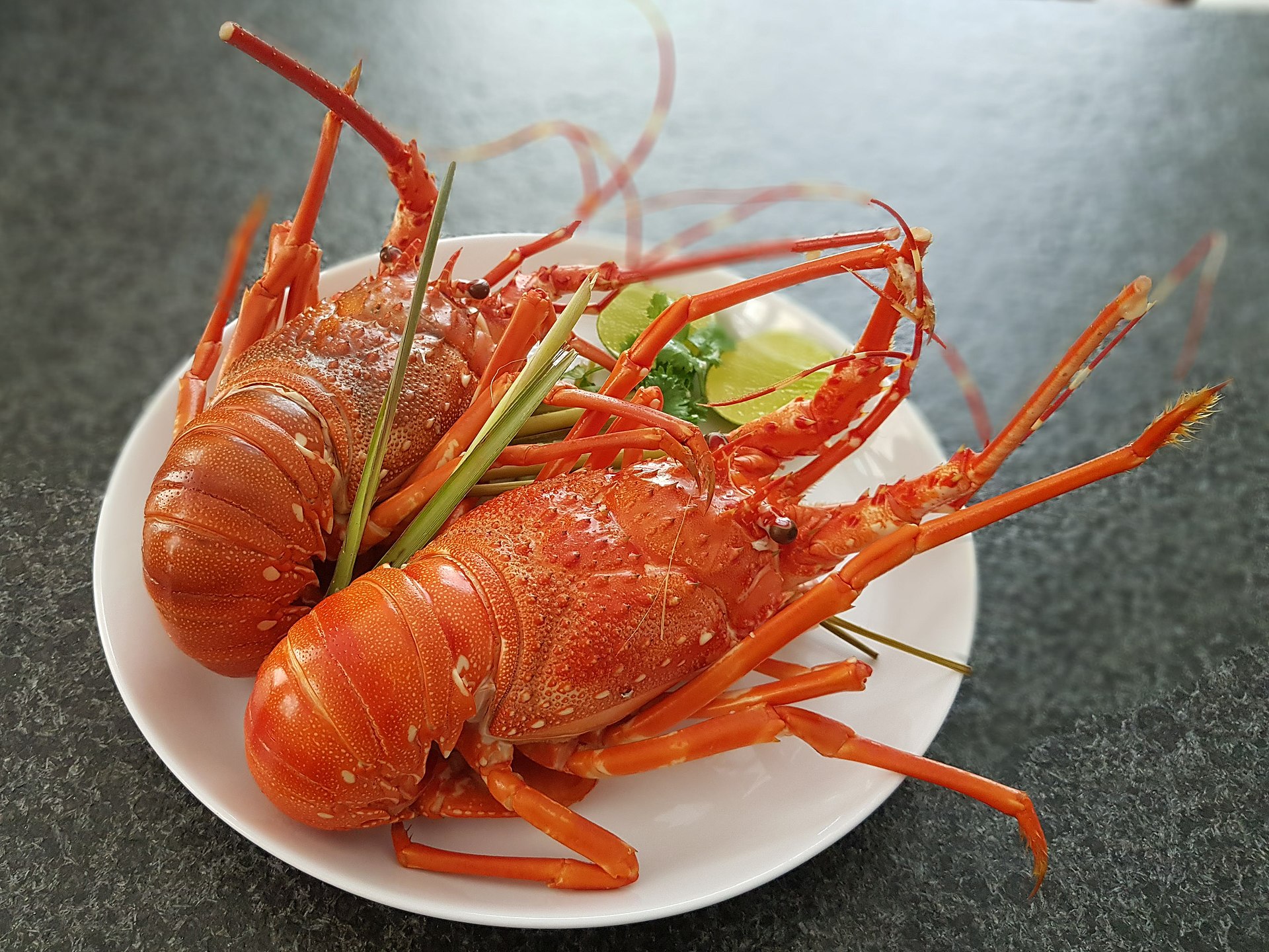 Lobsters and Langoustines