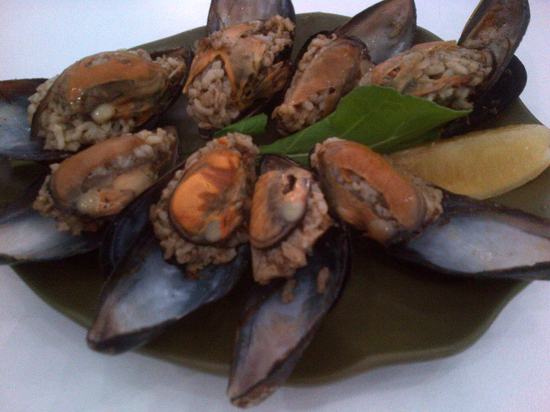 Mollusks