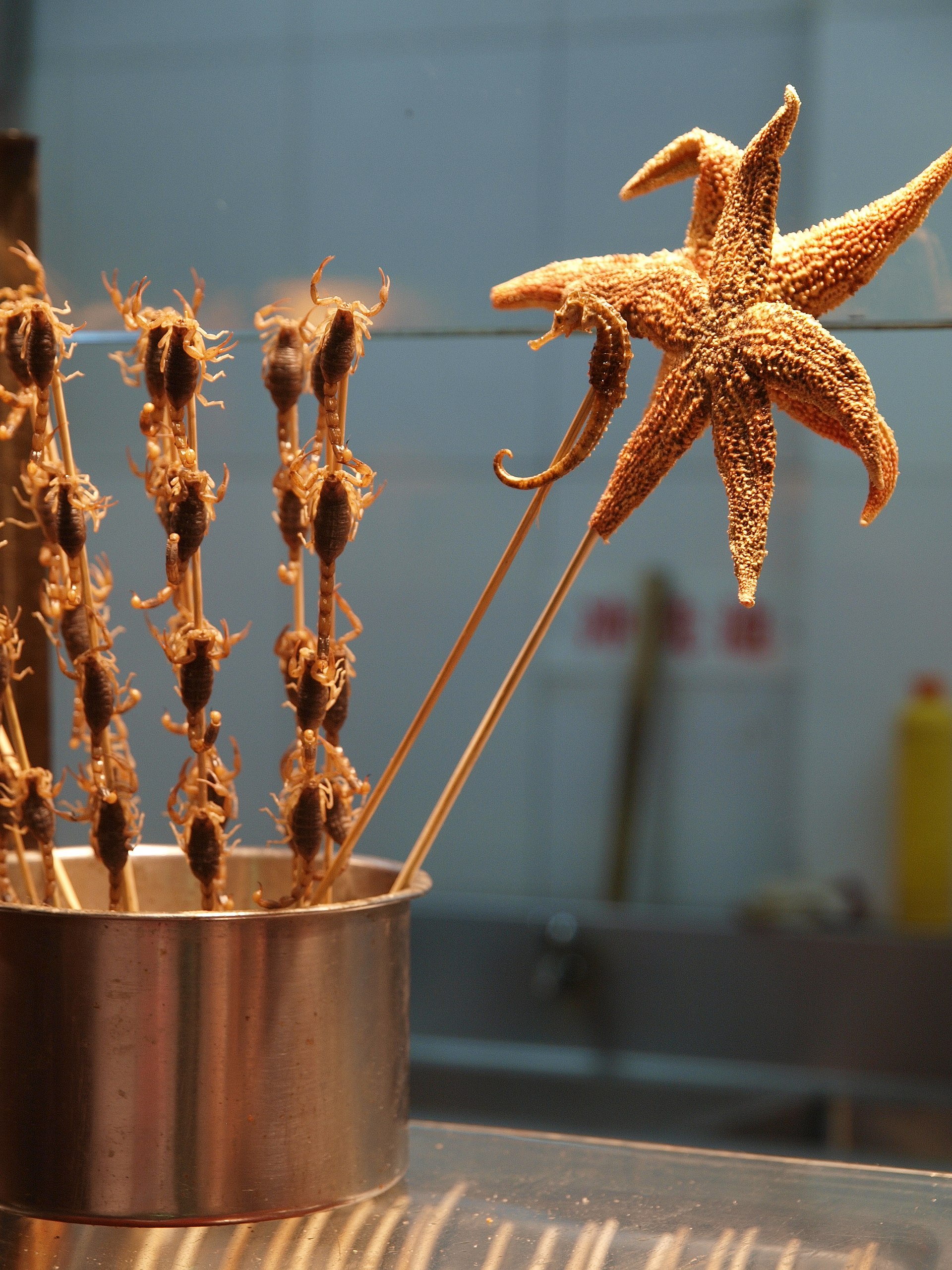 Other Edible Echinoderms