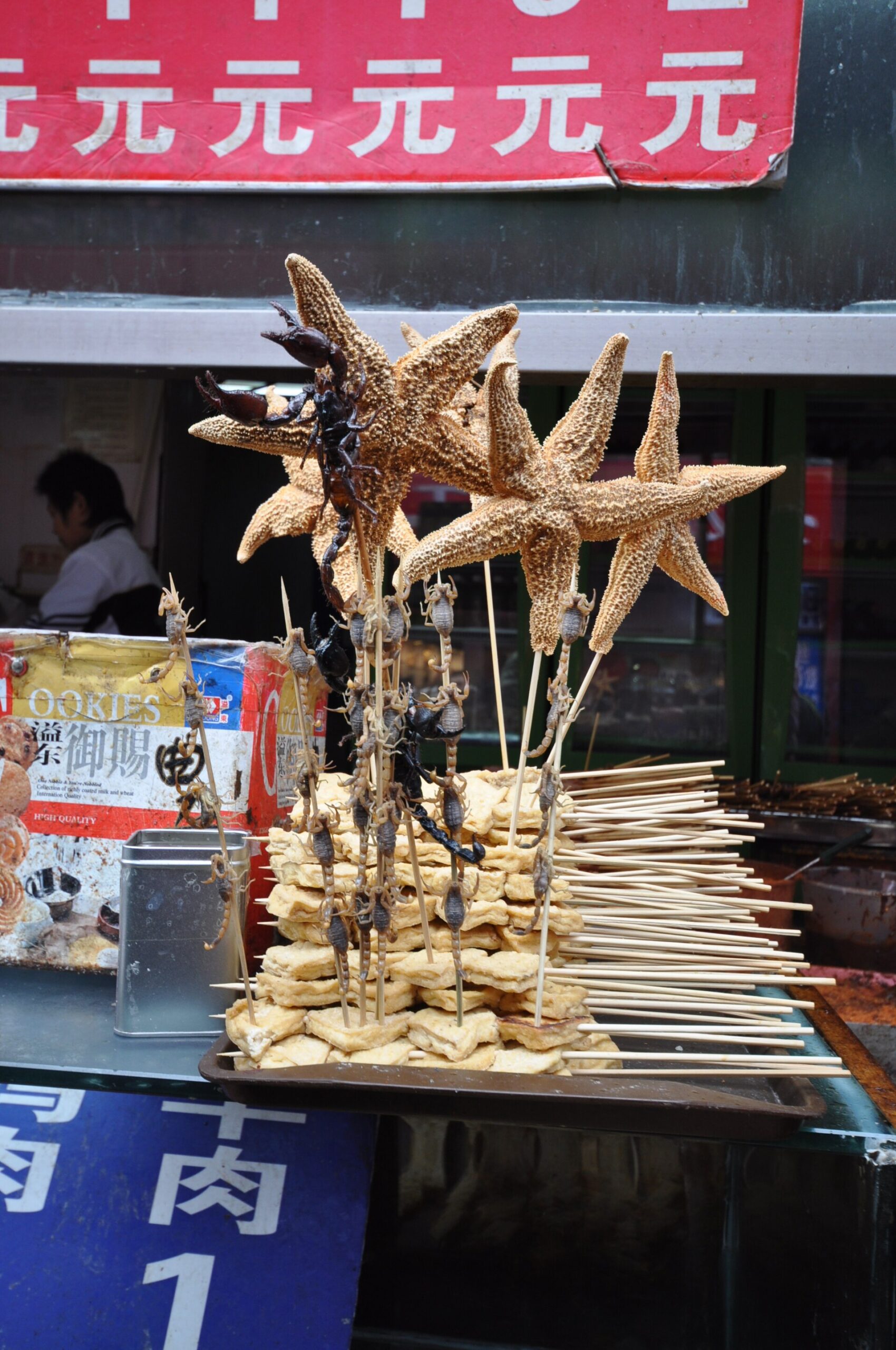 Other Edible Echinoderms