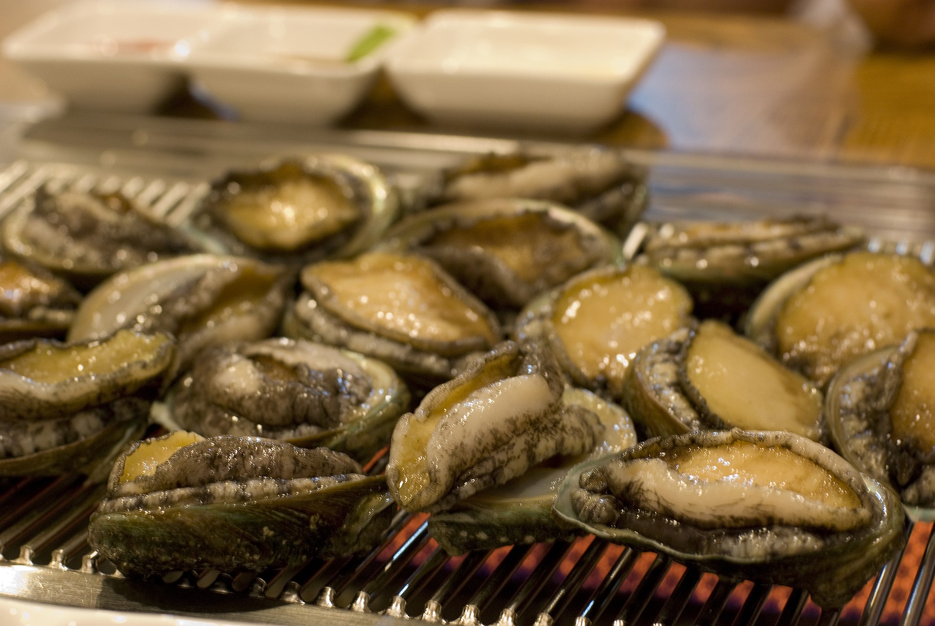 Other Edible Mollusks