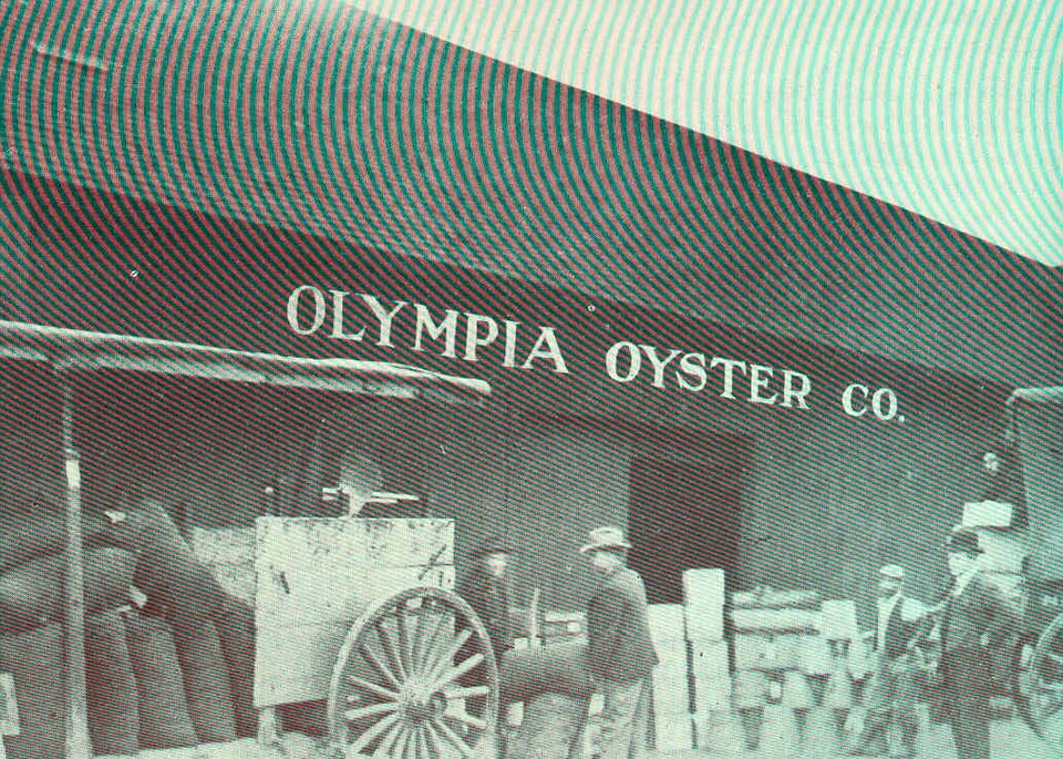 Oyster