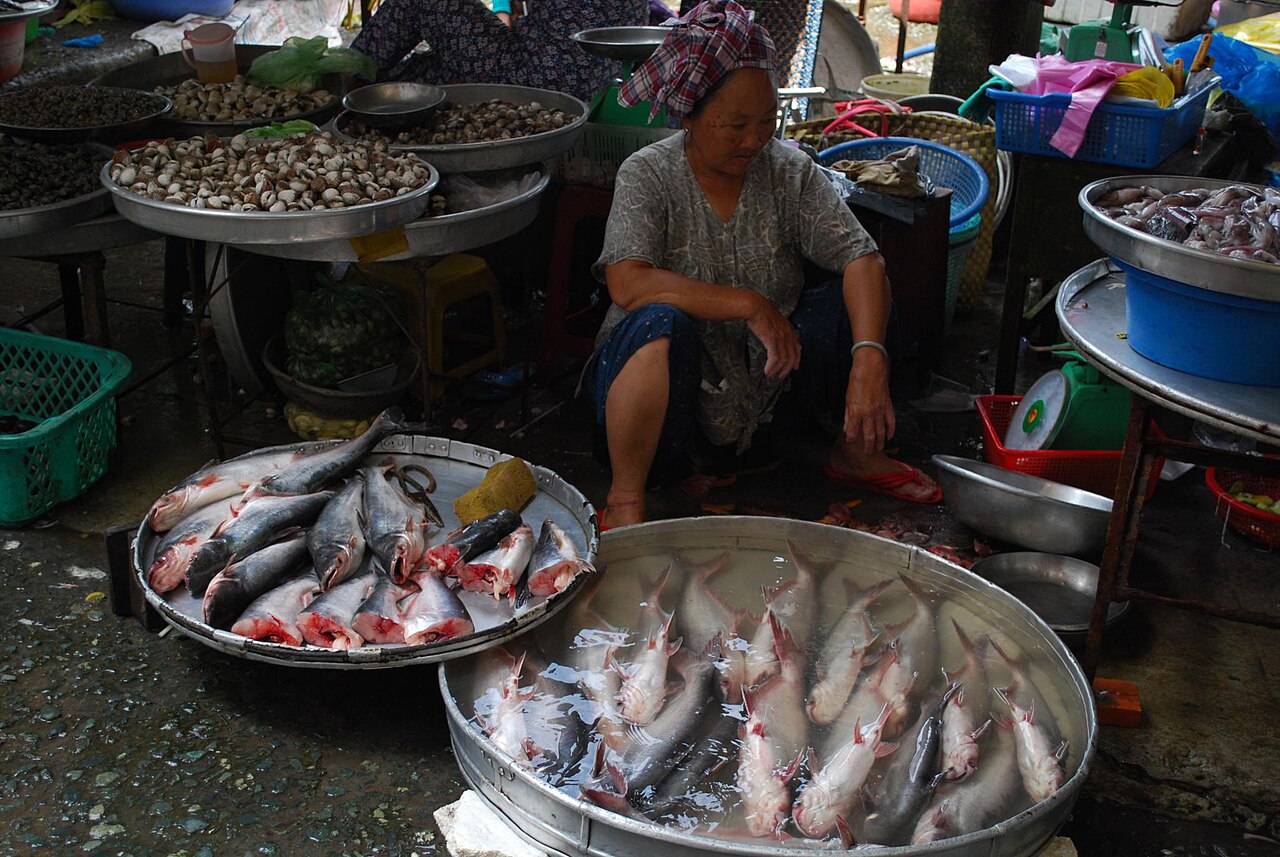 Pangasius catfish