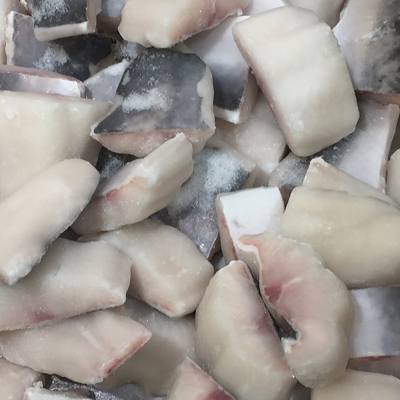 Pangasius catfish