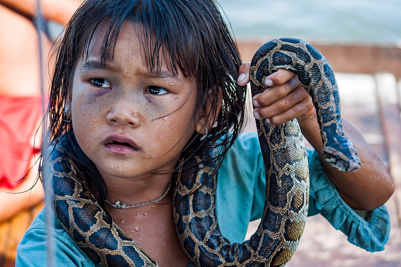 Python