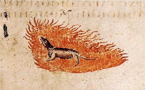 Salamanders and Newts