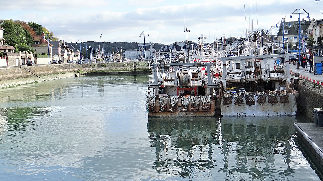 Scallop