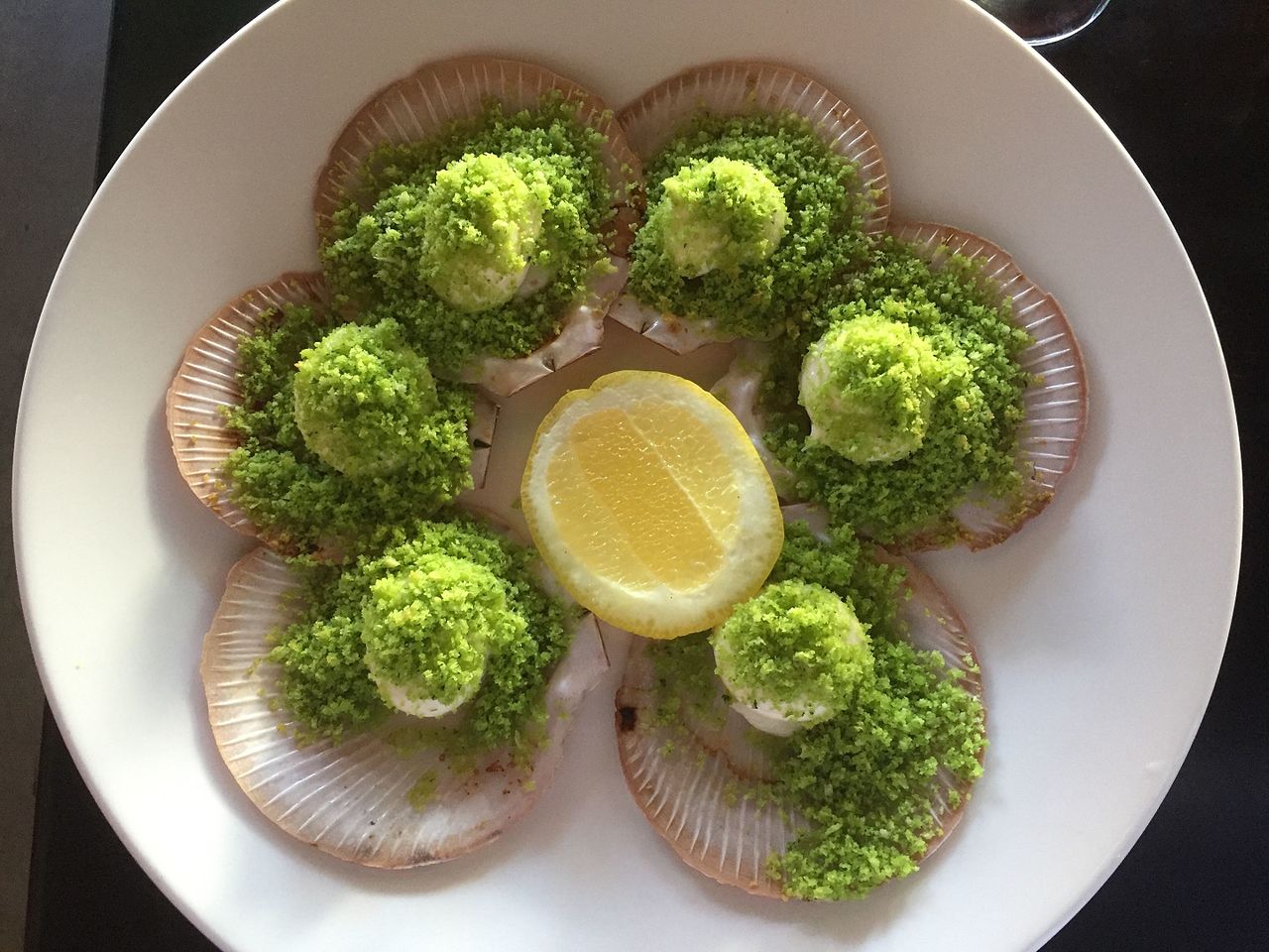 Scallop
