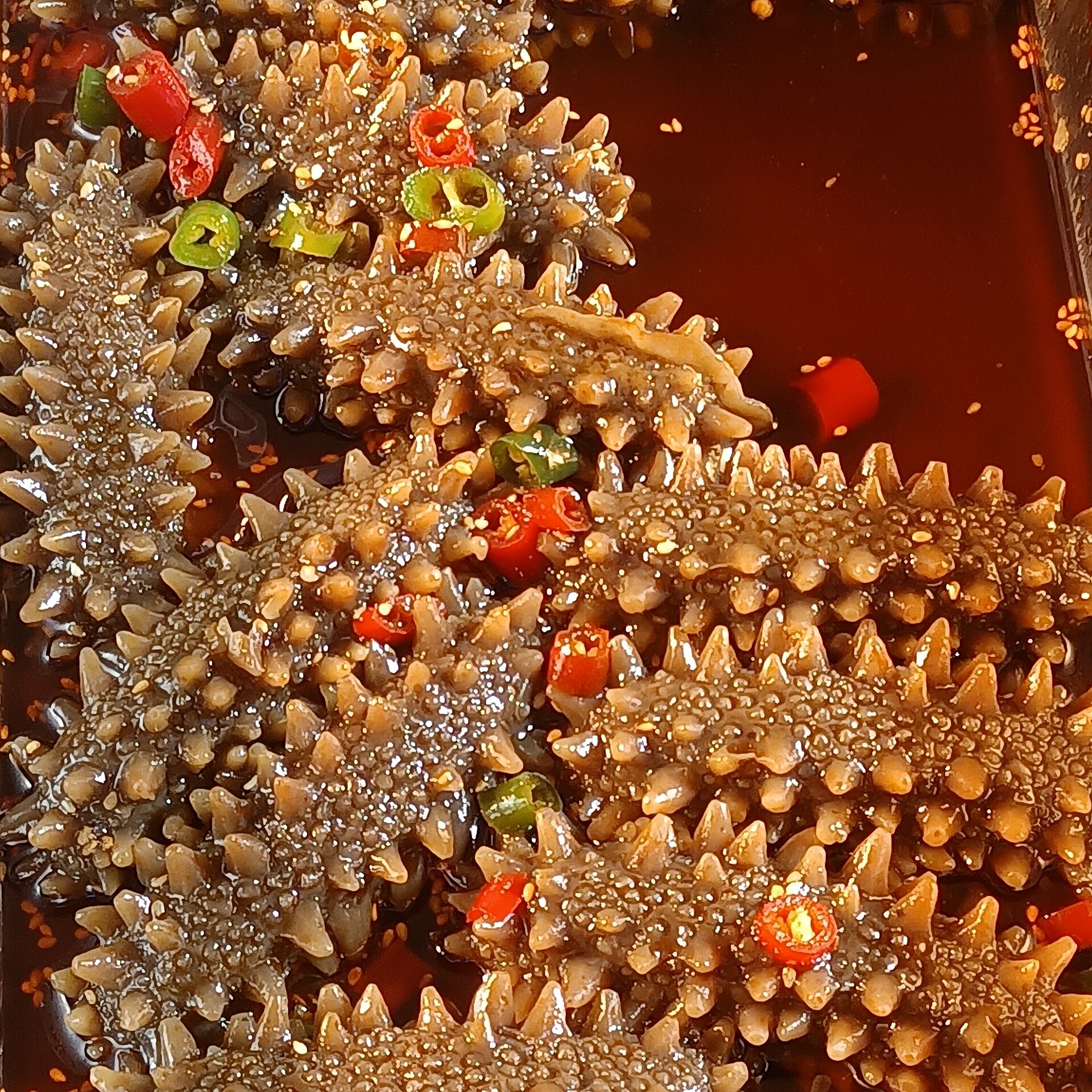 Sea Cucumbers