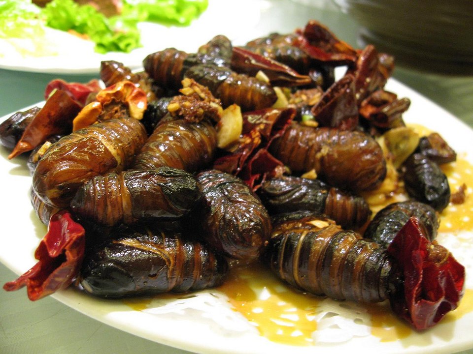 Silkworm pupae