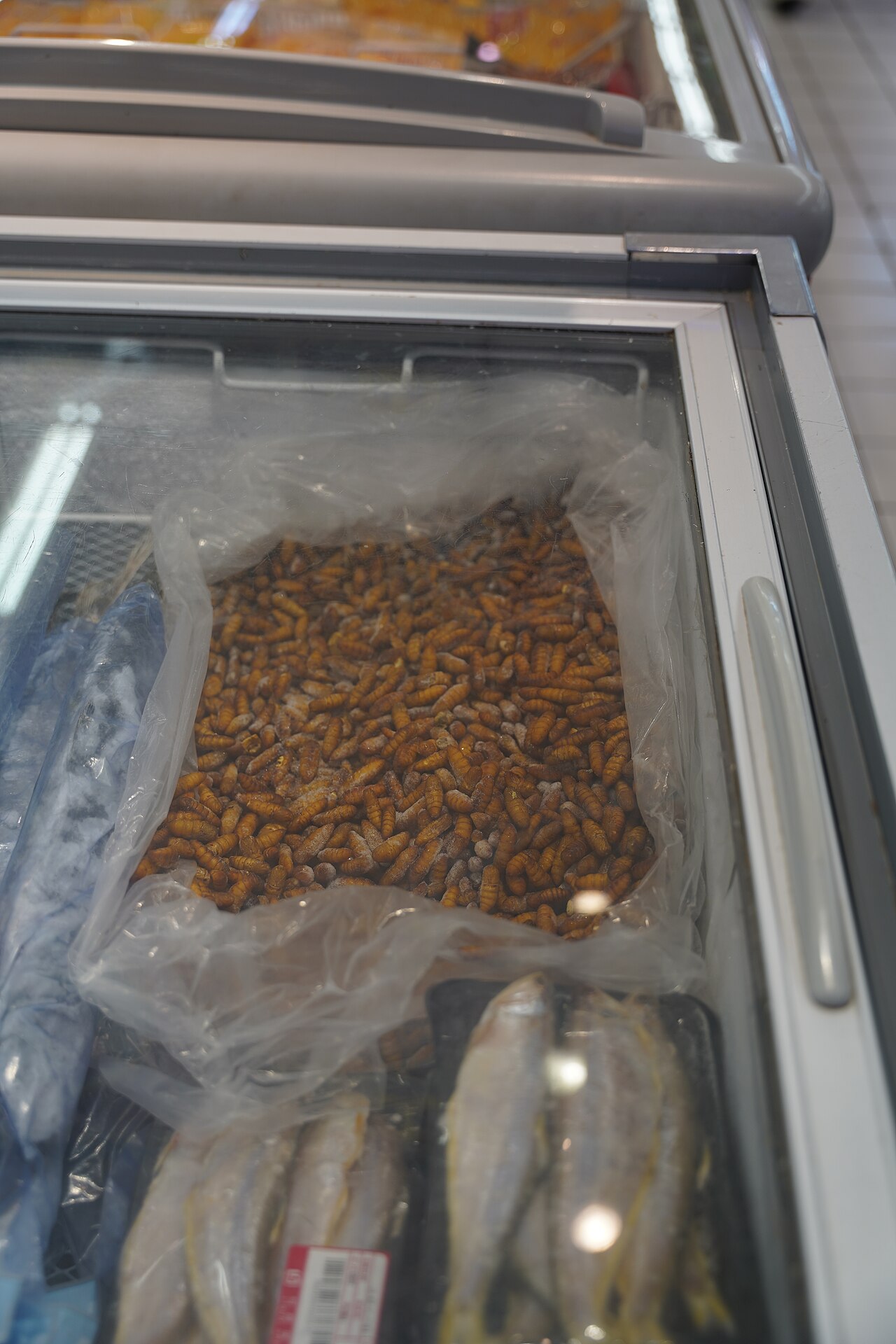 Silkworm pupae