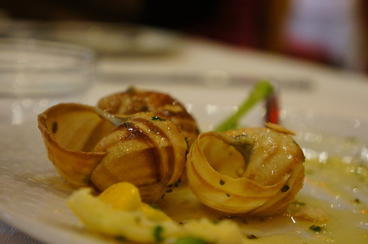 Snail