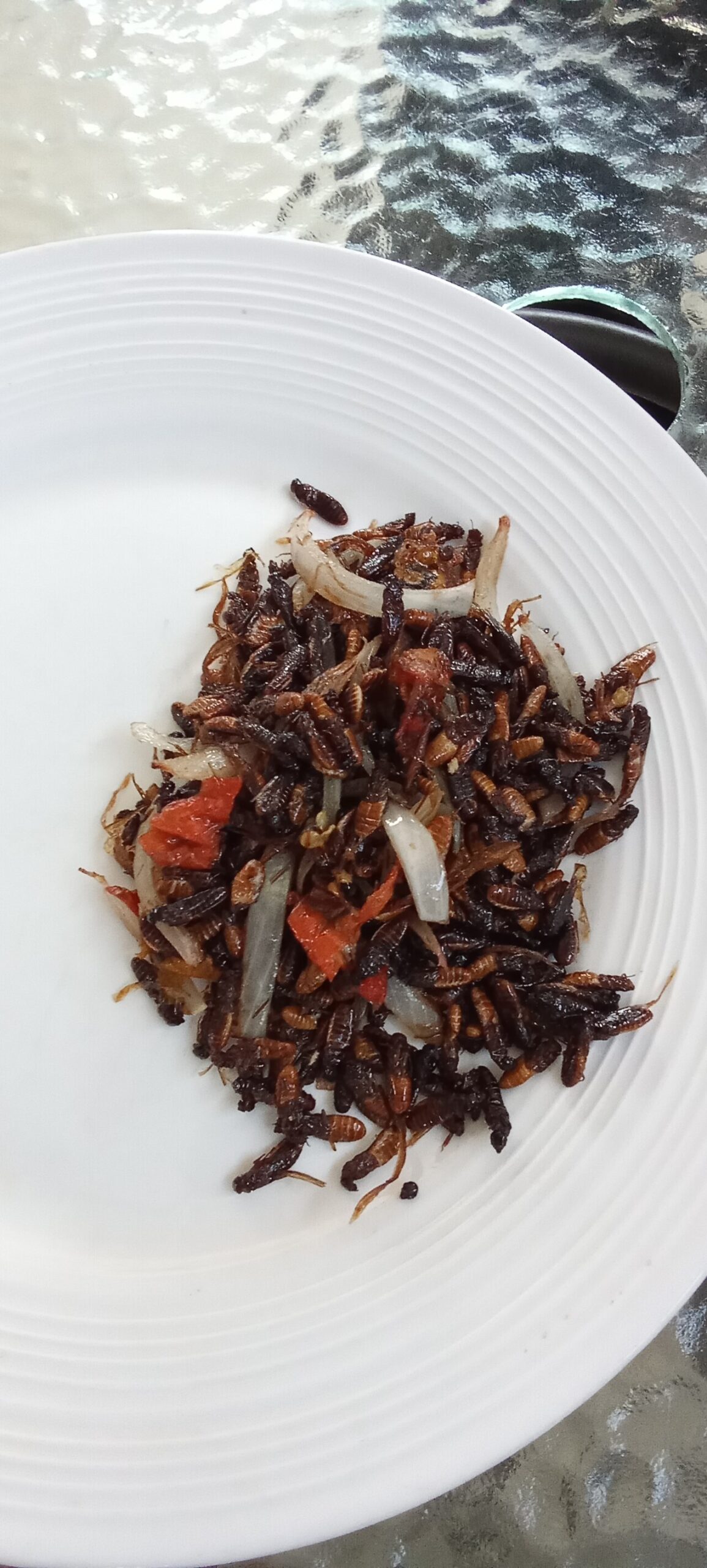 Termites
