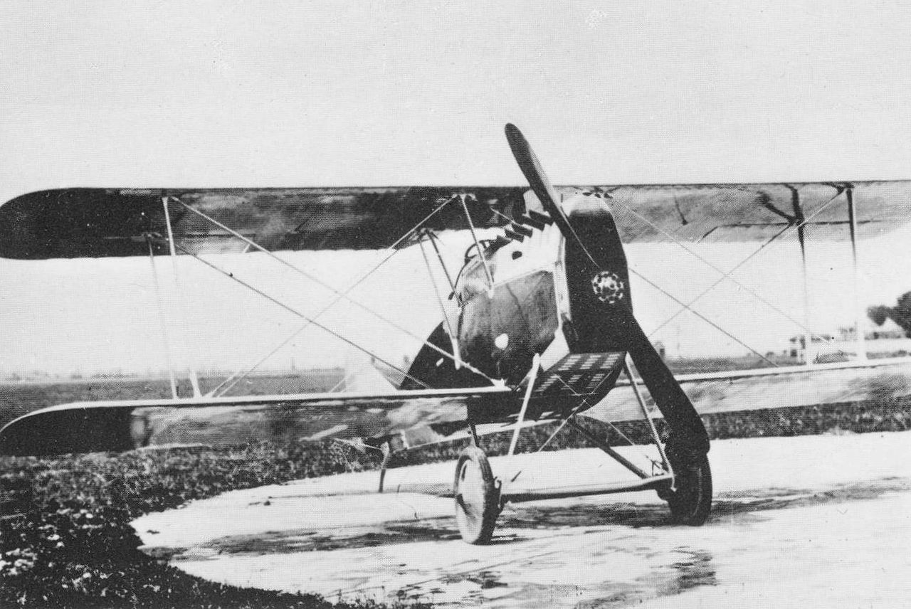 Ansaldo A.1 Balilla aircraft image 2