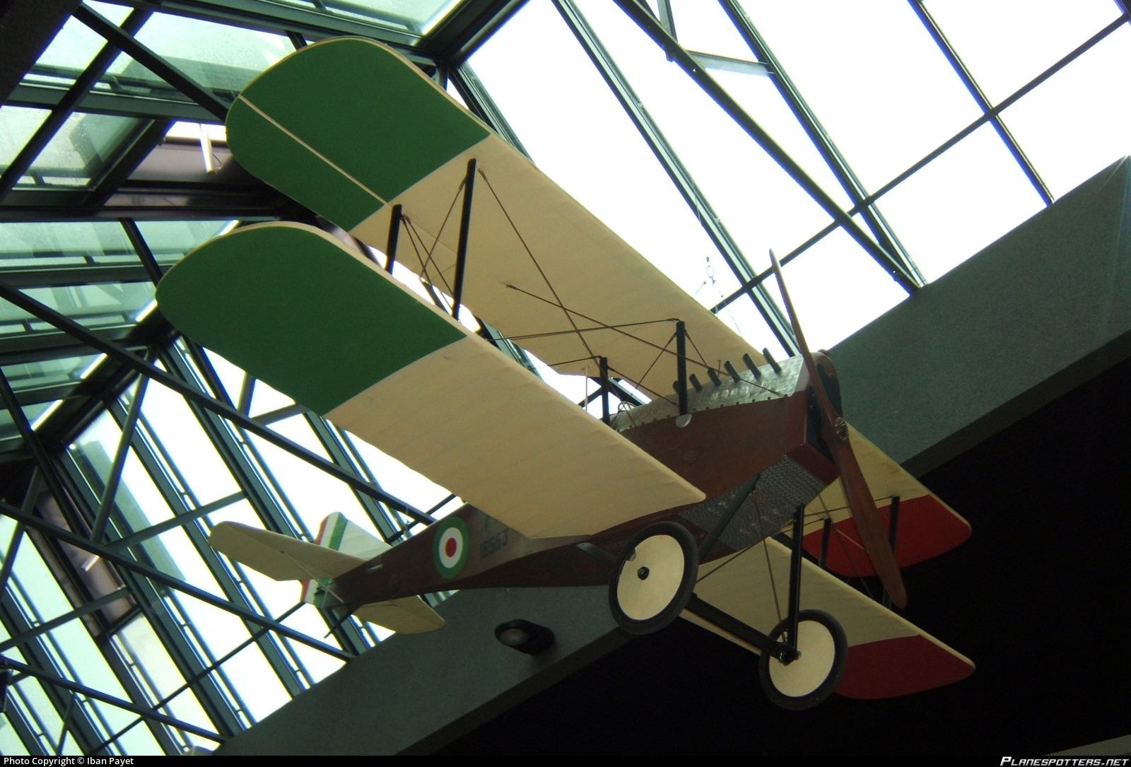 Ansaldo A.1 Balilla aircraft image 6