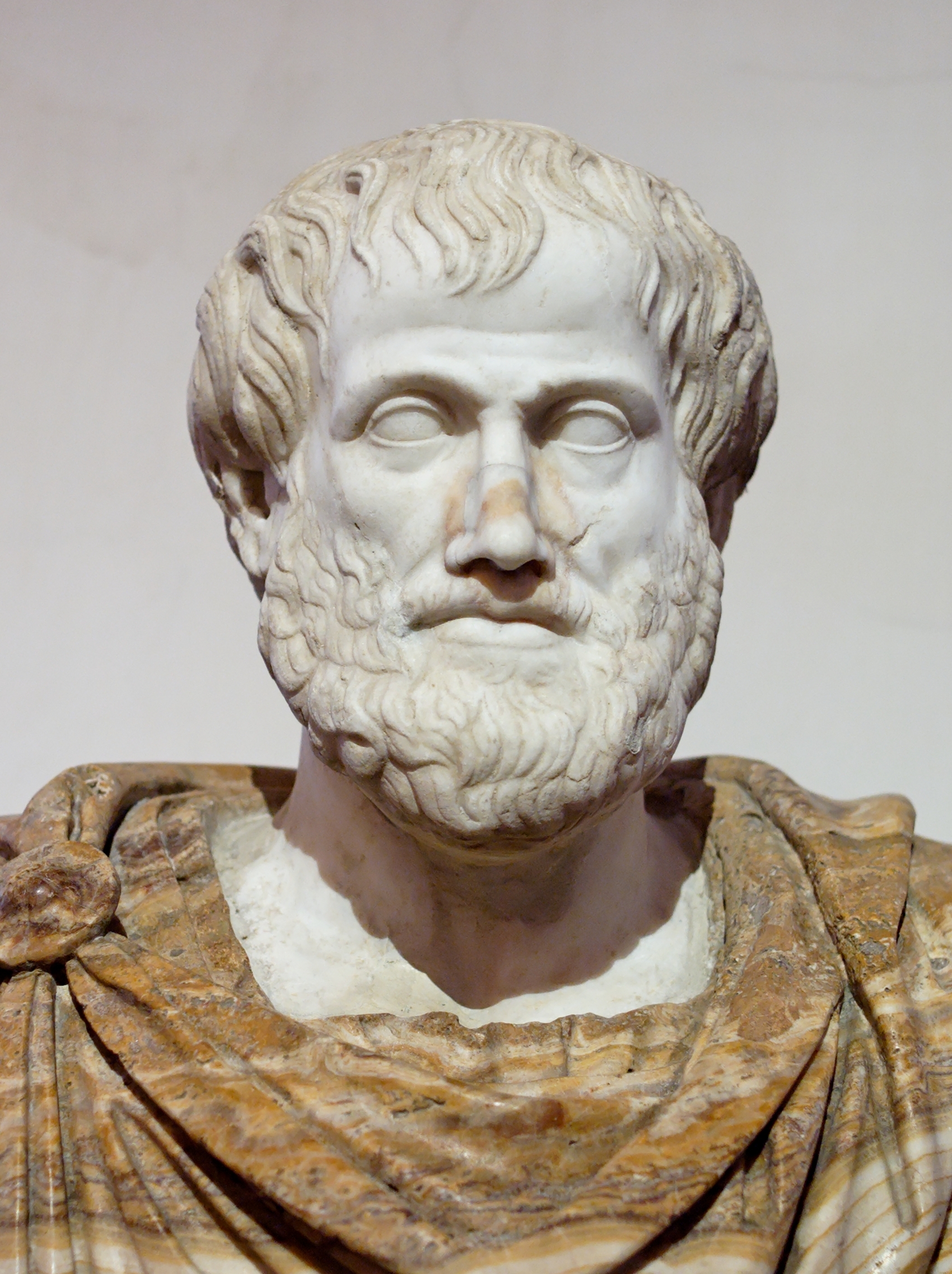Aristotle Bust in the Palazzo Altemps