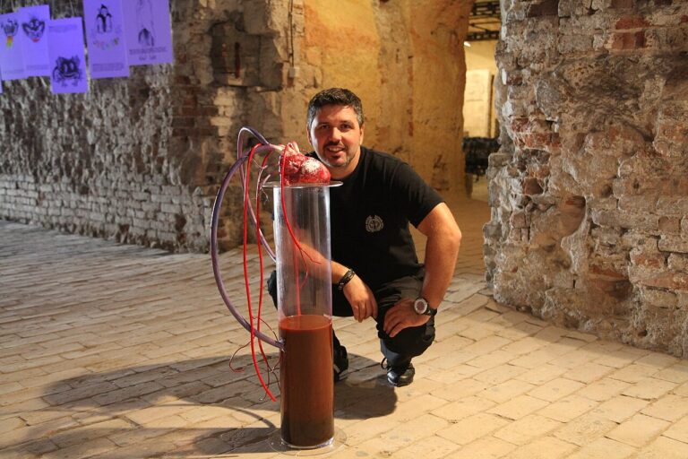 Interactive Media Art by Predrag K Nikolic Interactive Installtion Inner Body
