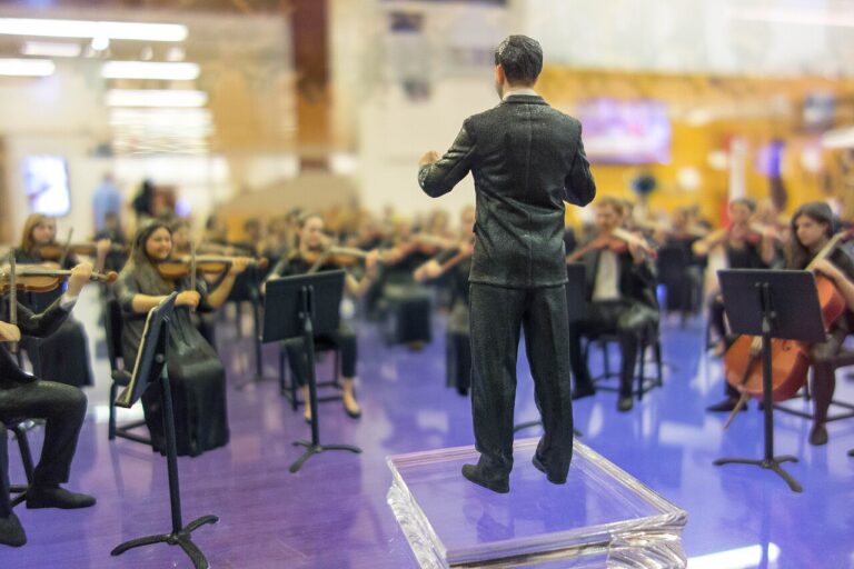 The orchestra