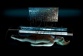 Biofeedback Art Amy Karle Durational Performance Art